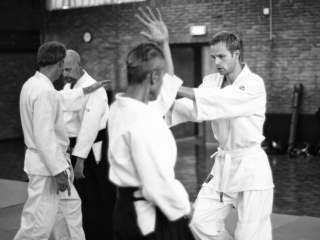 Aikido termen..., Daevid valt aan met shomenuchi