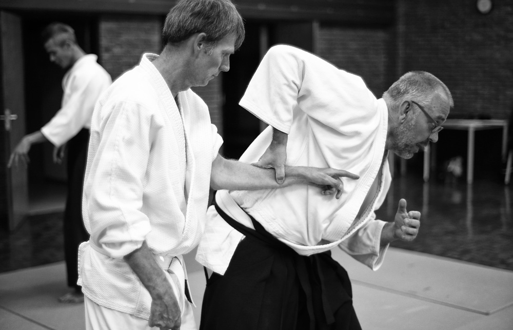 Aikido termen vertaald naar het Nederlands Aikido Friesland