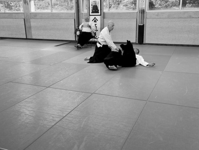 hanmi handachi waza