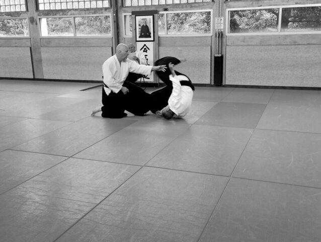 hanmi handachi waza
